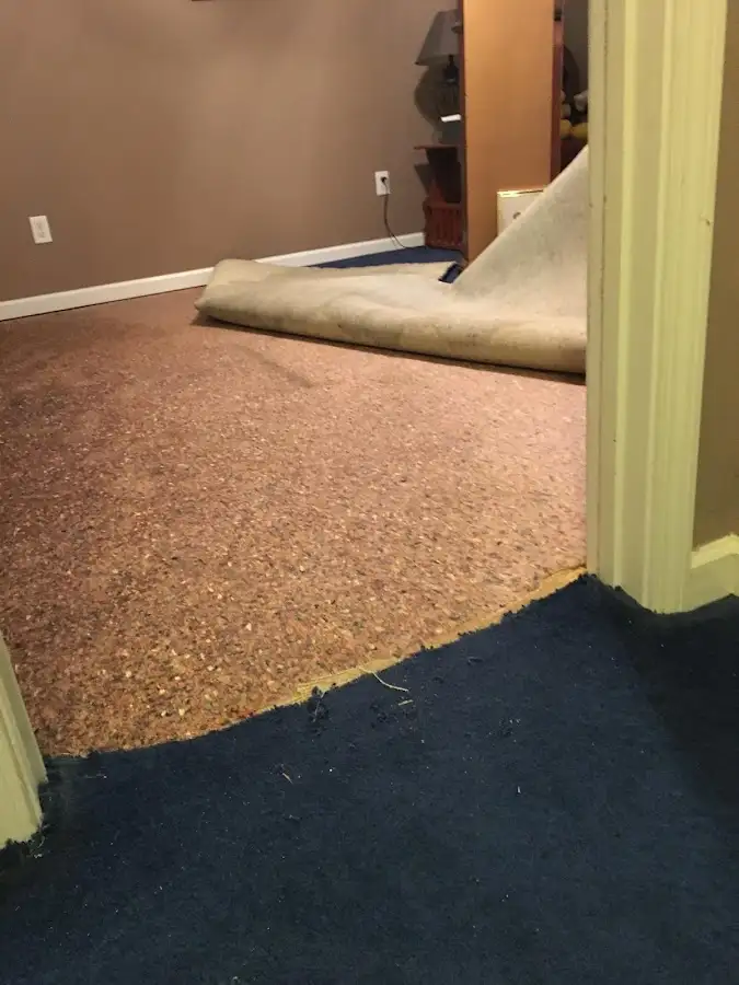 Carpet pad removal revealing water damage during Drying & Dehumidification in Green Oak