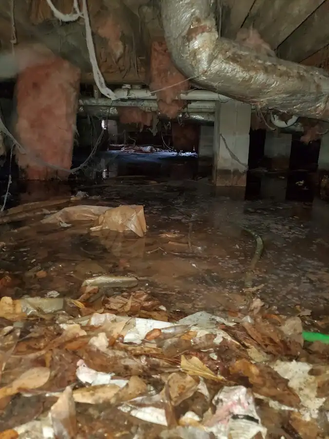 Crawl space flood assessment for Commercial Water Damage Restoration in Green Oak