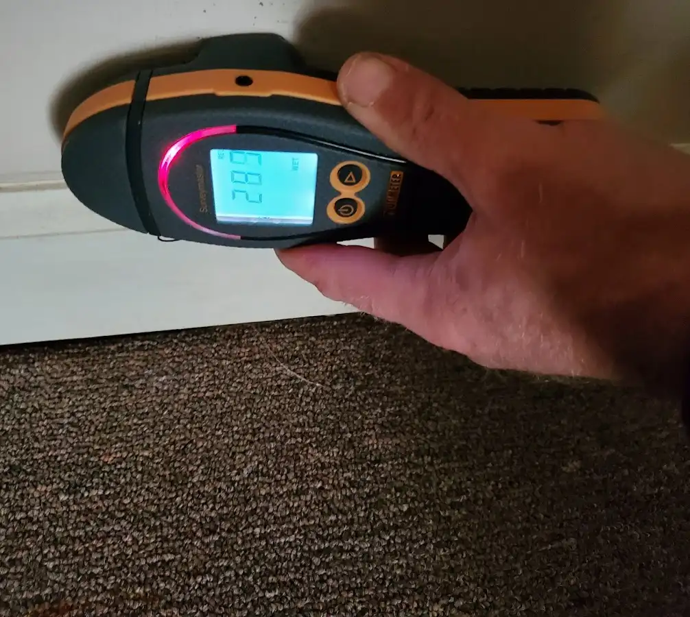 Moisture detection at baseboard during Sewage Cleanup & Sanitation in Green Oak